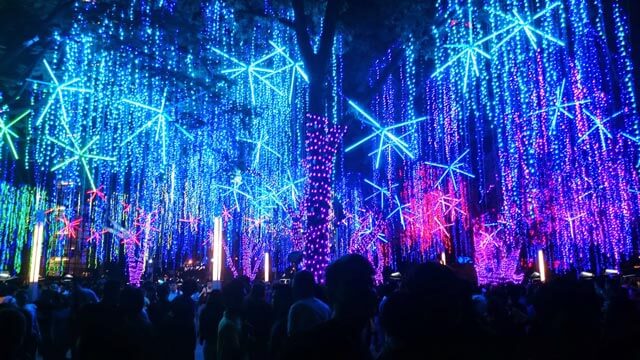 Ayala Triangle Garden Lights Show