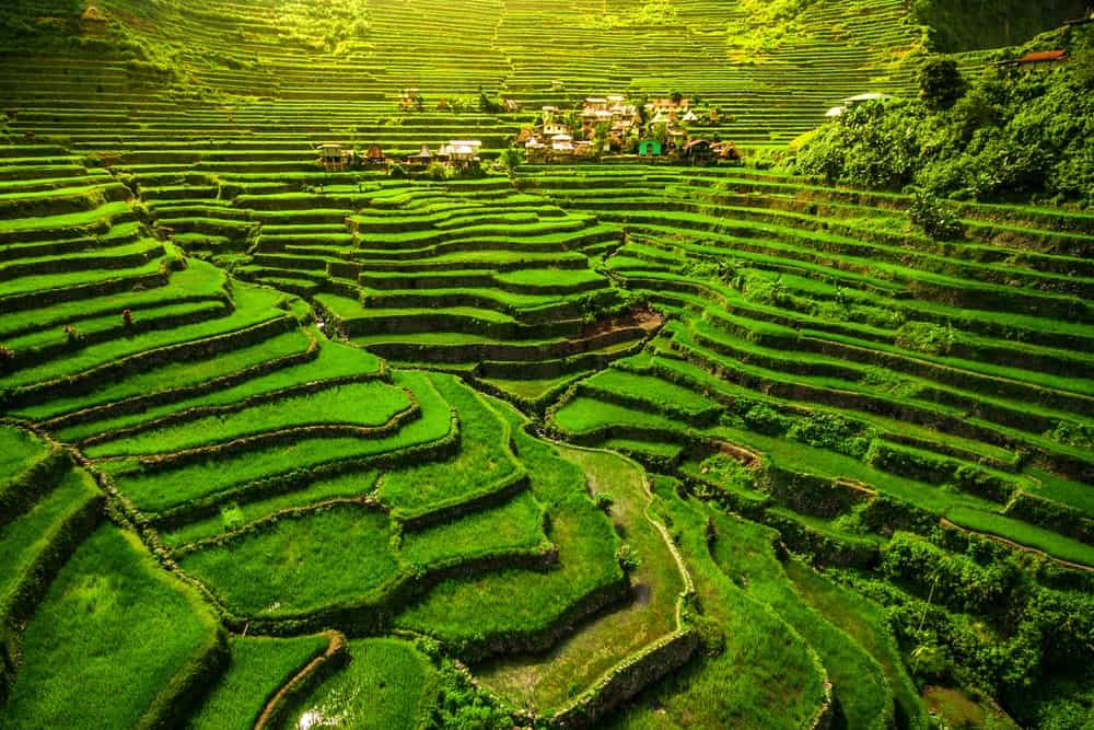 banaue rice terraces tempat wisata di Filipina